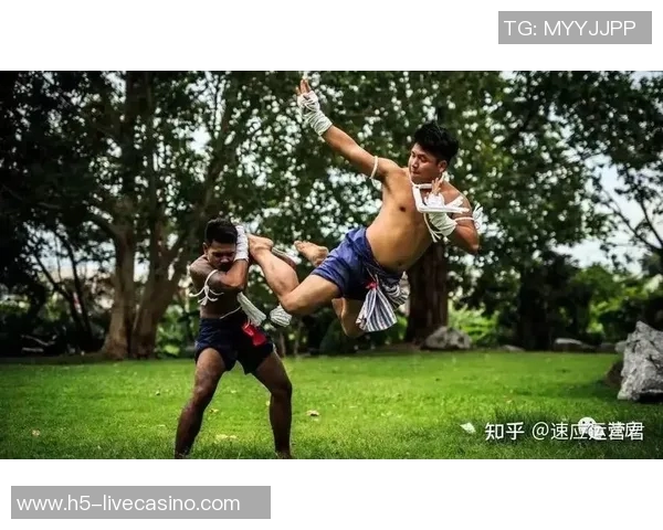 泰拳与拳击的全面对决:技术风格与战术解析之争 泰拳与拳击的全面对决:技术风格与战术解析之争